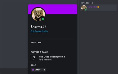 fake discord status generator